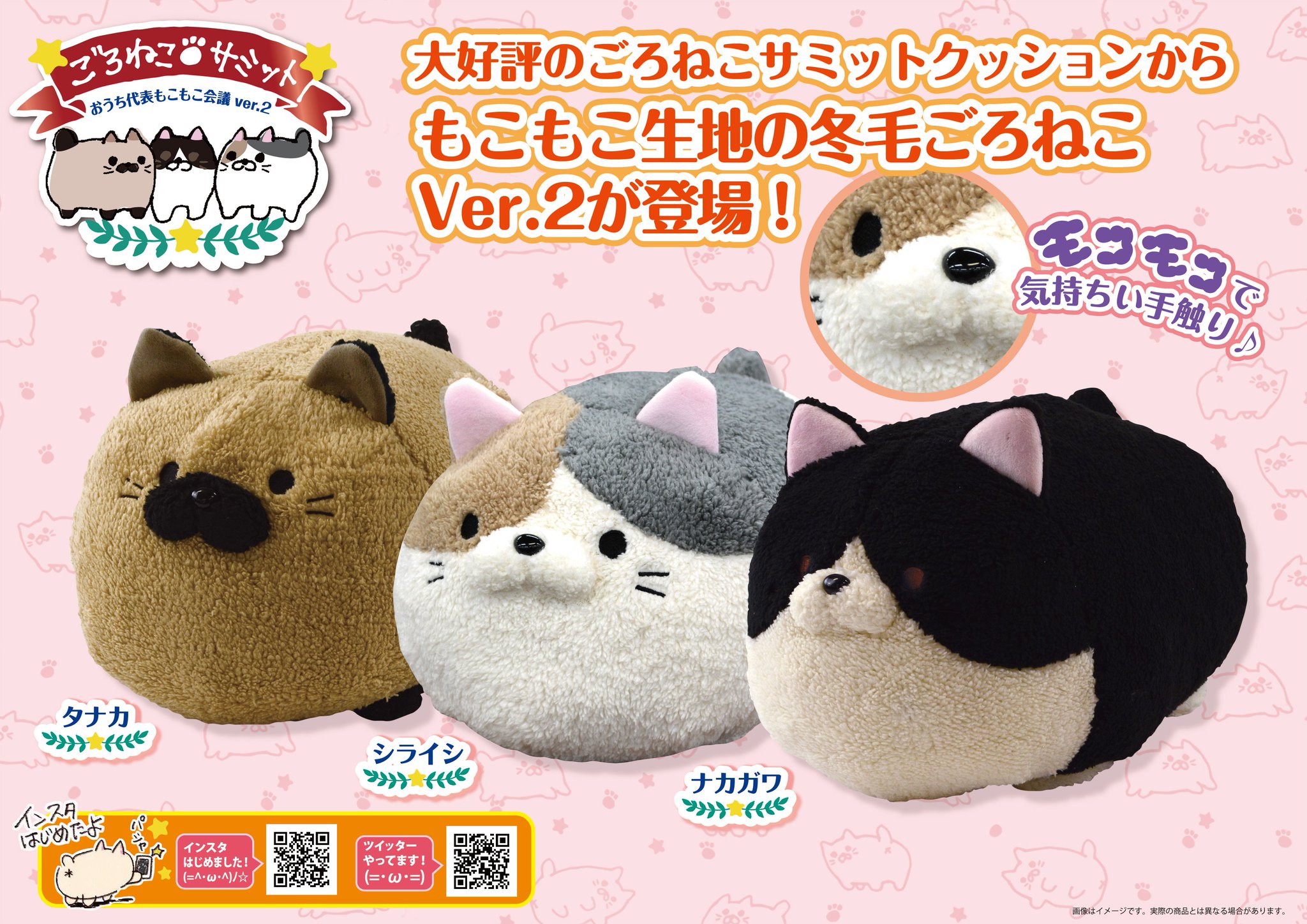 ごろねこサミット おうち代表もこもこ会議 オンダ 1匹 Amazon.co.jp: ごろねこサミット 第一回 おうち代表ネコ会議