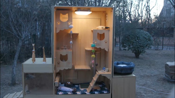 PDChina's tweet image. Chinese engineer builds world’s first #AI cat shelter for stray cats, offering them a warm home with abundant food and water, and keeping them healthy as the AI tech is able to identify 174 kinds of cats and spot common #cat diseases. bit.ly/2DGZS3J