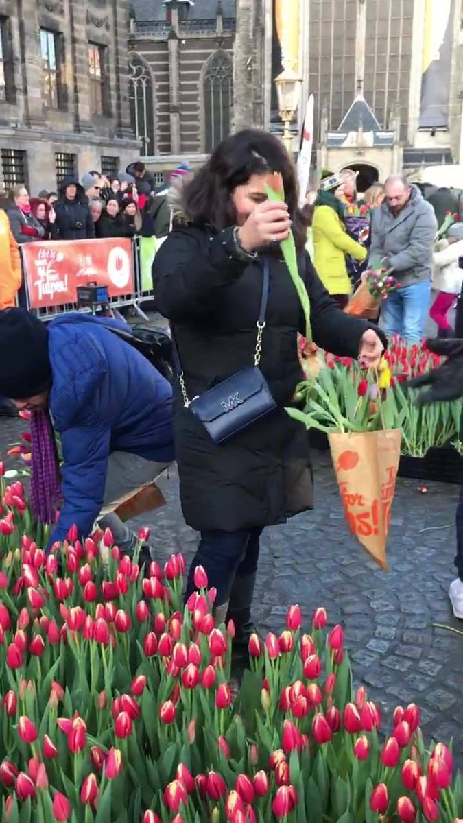 AllforHandG's tweet image. #plantlovermx #tulipanes #tulips #mercado #market #Amsterdam #BuenasNoches #goodnight #sigueme #FolloMe 

Piet van Kampen buff.ly/2sD6lWL
