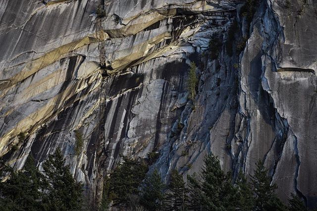 FinlaysonJamie's tweet photo. This view never gets old.  Sunny winter days are the best, especially after the normal wetness.  #home #lovethisplace #climbing #squamish #sunny #January #winter https://t.co/Q6k9qlR5iF https://t.co/R0R67Ugs2x