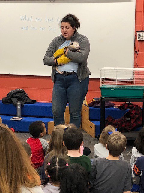 Lisa Harman tweet media