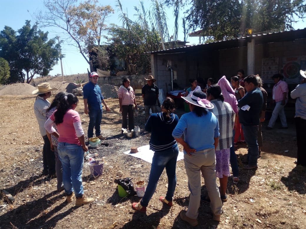 MogarzSC's tweet photo. - Actividad: Acciones en Escuela de Campo (ECA).
- Línea productiva: Milpa.
- Lugar: #MogoteColorado, #Ayuquililla.
- Responsable: Ing. Víctor Fernández.
 
#WeCanDoIt 💪
#LaMixtecaOaxaqueña 🌄

@IvetteMurat
@alejandromurat
@lopezobrador_
#SADER
#SEDAPA
#Oaxaca https://t.co/HALK5W9RVJ