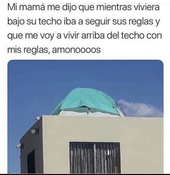 MtzLuigui's tweet photo. Amonoooos https://t.co/ioGS8o7fkA