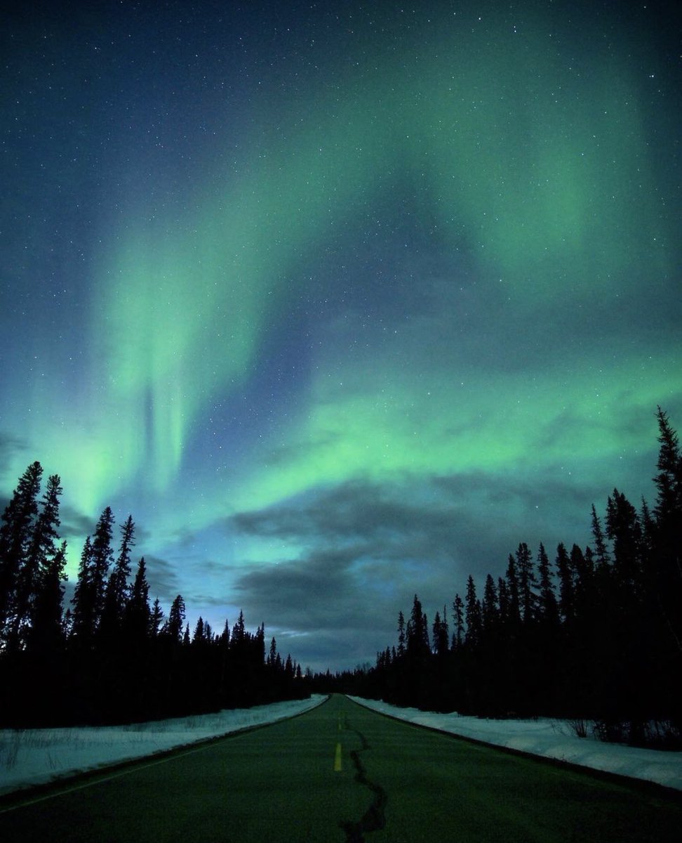 Northern Lights, Fort Nelson, BC, Canada @winterhawkstudios via IG #NorthernLights #musicfestival #springbreak #fortnelson