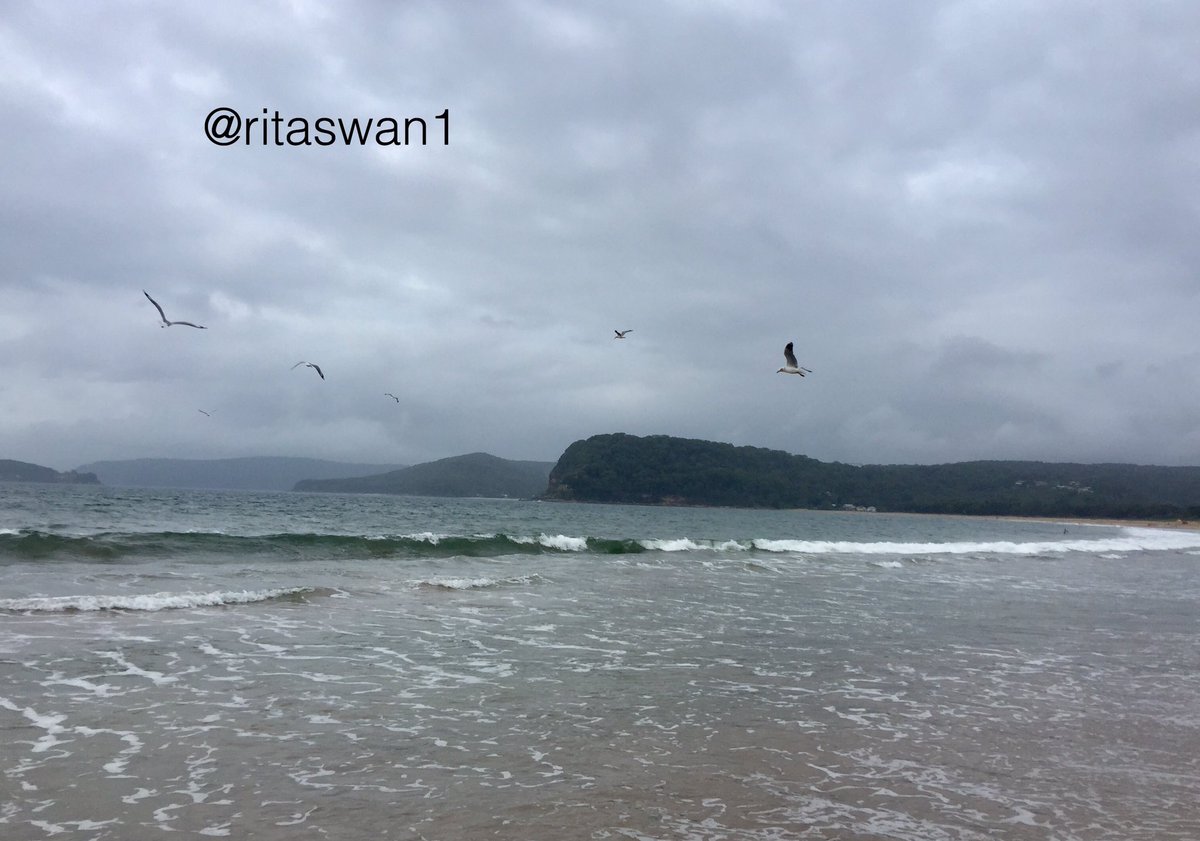 M. A. Swan tweet media