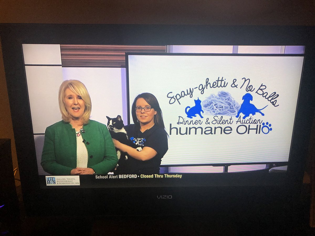 SingingCC's tweet photo. @TeamCoco @ConanOBrien  our local fundraiser in Toledo Ohio lol #noballs #greatnames #givegenerously #goodcause #hadtoshare 😂 https://t.co/Pw2opViS7Z