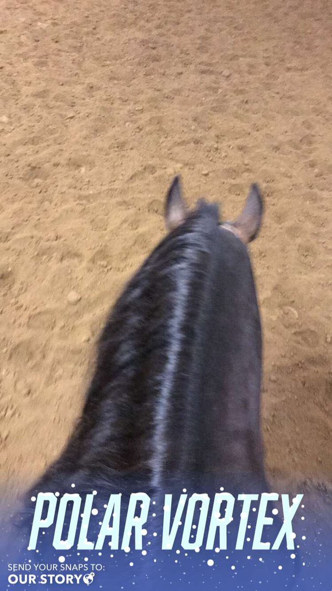 amolner's tweet photo. Still got some work done tonight, thank God for a climate controlled barn #iloveitwhenyoucallmebigstoppa #biggie #magnumsbigdream #nrha #highhopes #teambab https://t.co/KcW95BIbIT