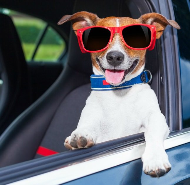 GSitterInsure's tweet image. Gary Sitter Insurance will find the best auto insurance policy to protect you behind the wheel! #GreatRates #GreatCoverage (814) 835-3889 sitterinsurance.com/auto-home-and-…