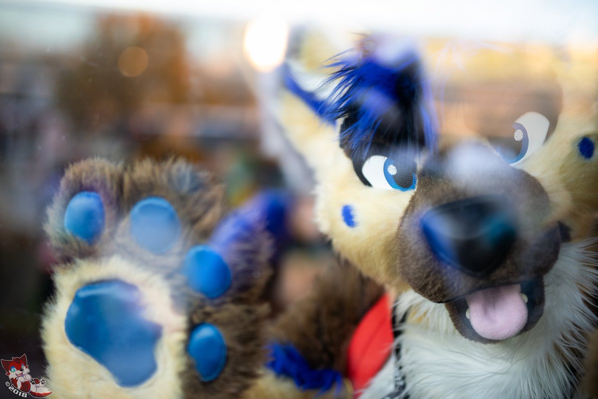 Mom! I wanna get that pupper in the window!

Suiter: Yet unknown, feel free to tag!

Con: MFF2017