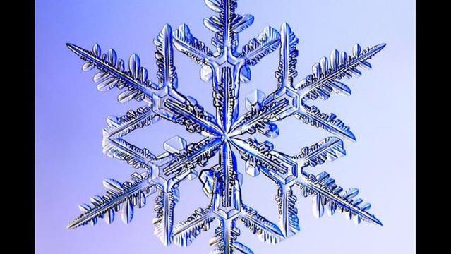 There is a county wide tow ban in effect until further notice.  Roads are terrible and we are having difficulty getting tow companies to respond.  Please be safe.