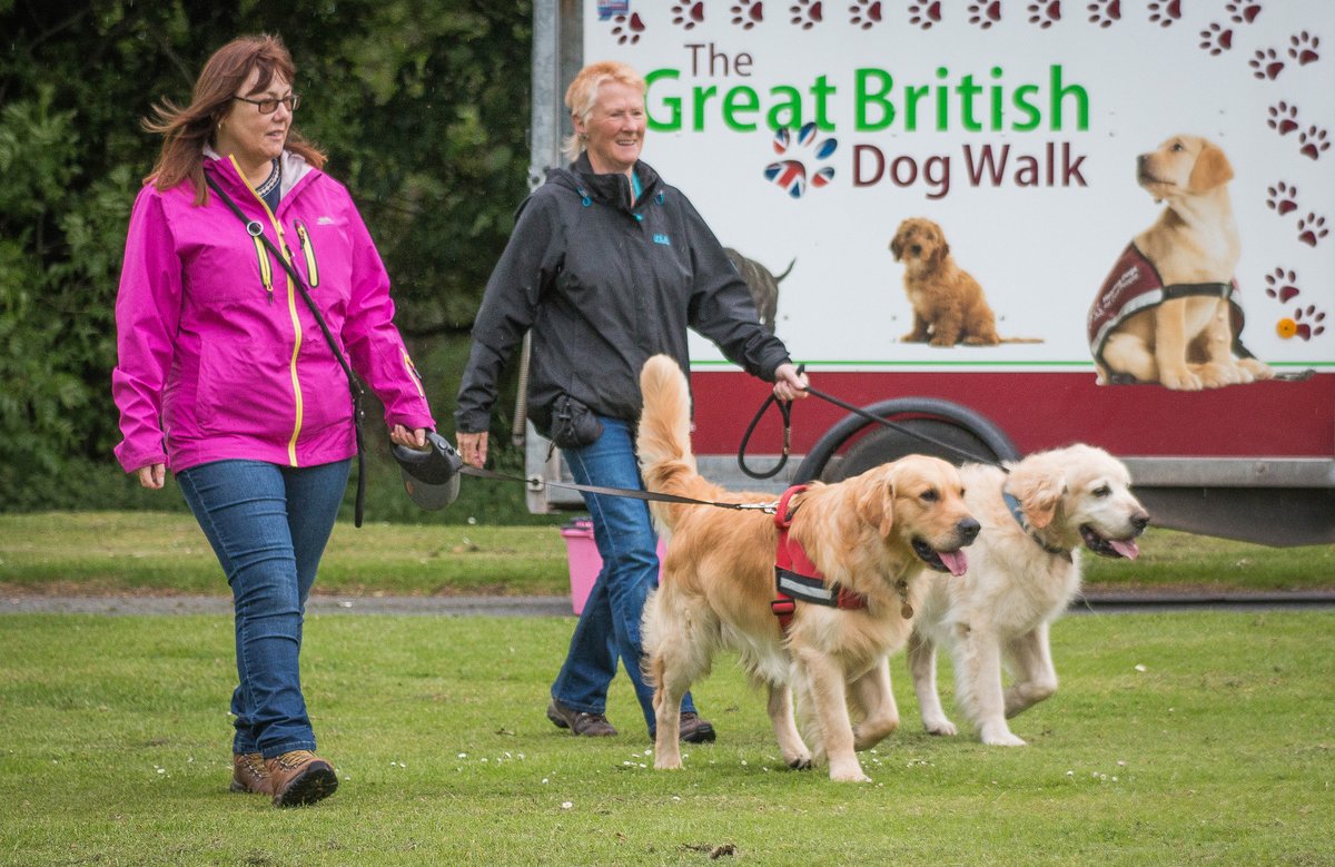 great british dog walk 2019