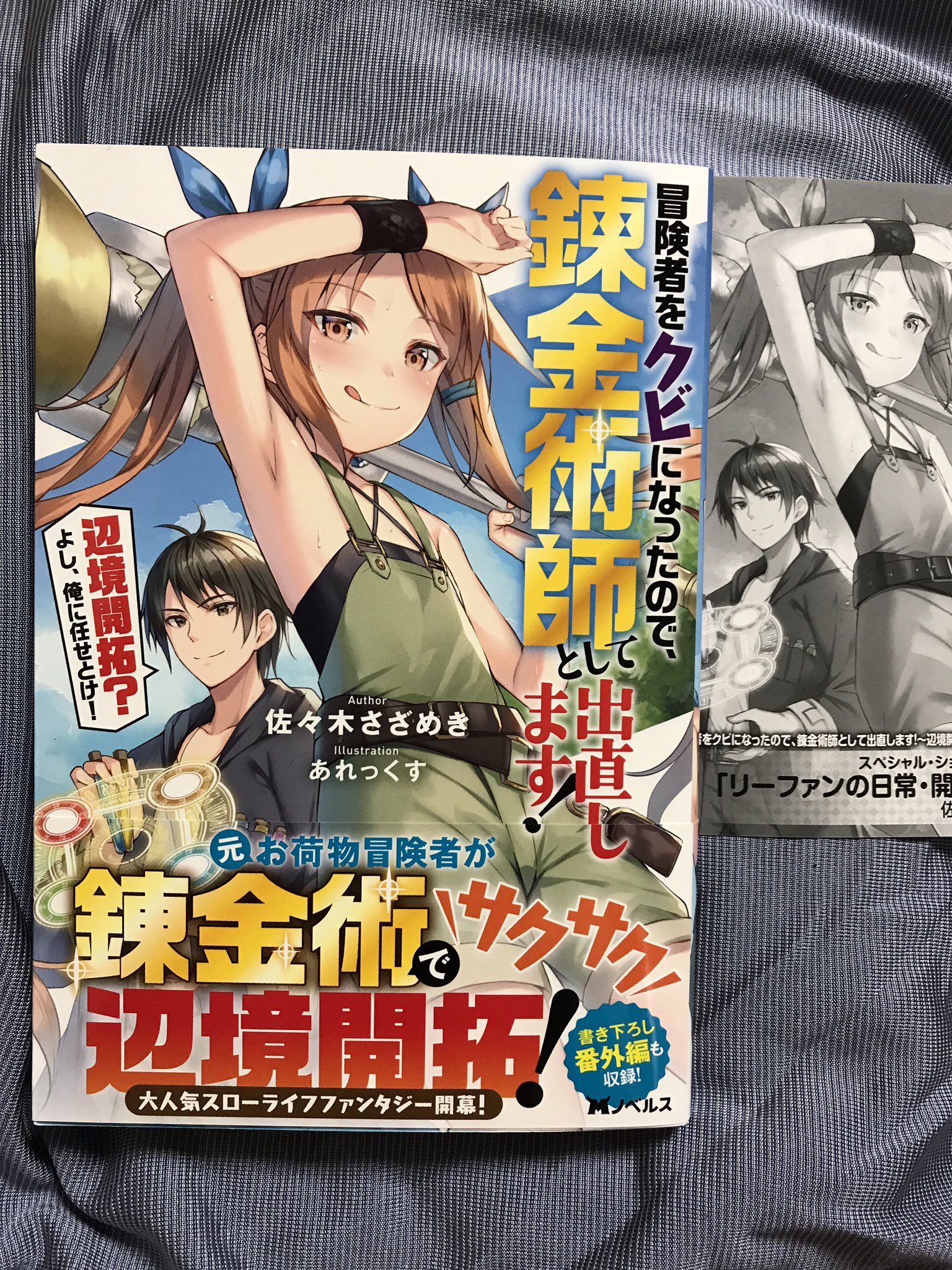 冒険者をクビになったので 錬金術師として出直します 辺境開拓 よし 俺に任せとけ ライトノベル 1 4巻セット Www Phoneshopkenya Co Ke