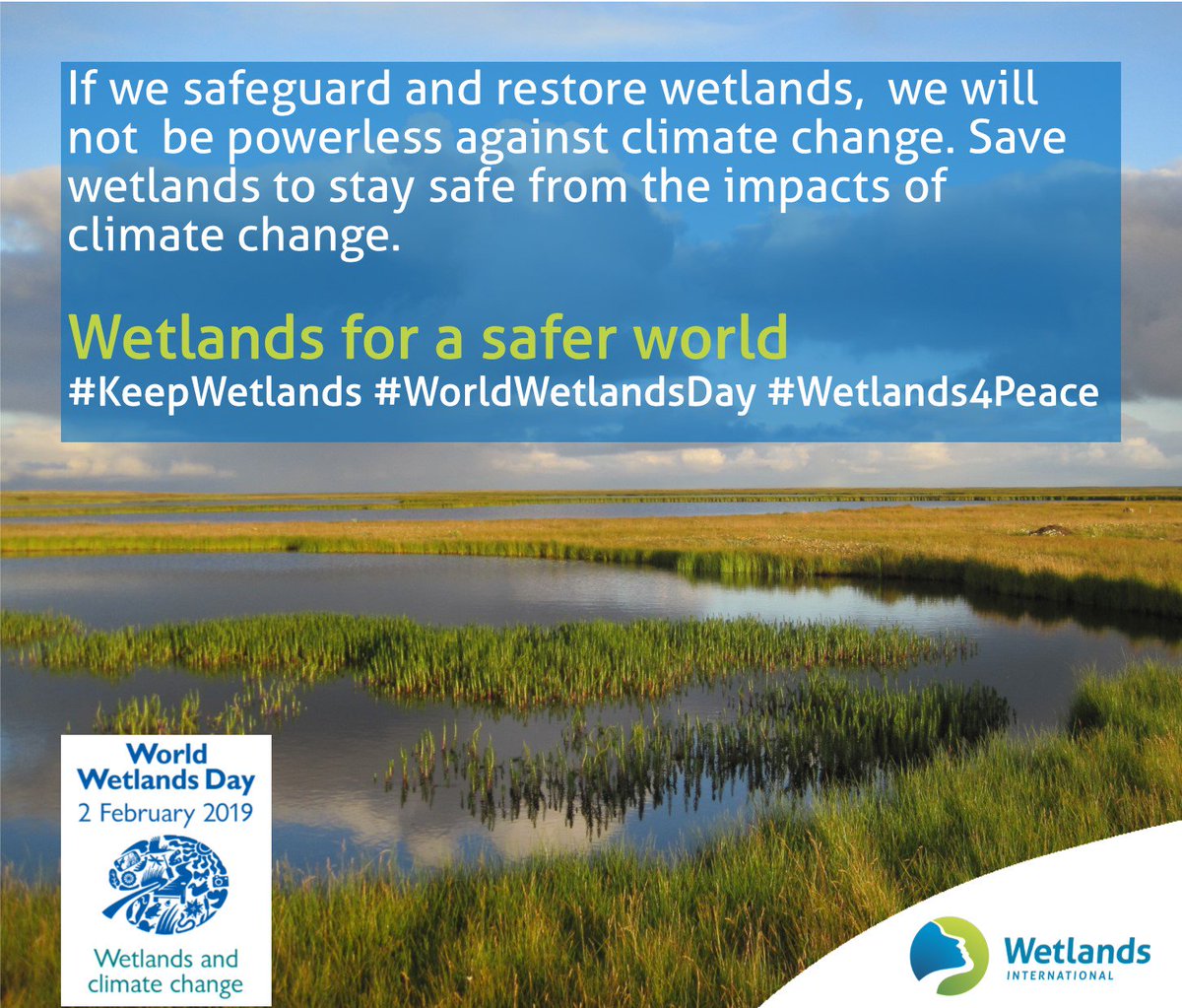 WetlandsInt's tweet photo. Our work across the world shows that with a little support, local #communities, governments &amp; companies can work together to make a safer world by improving the condition of wetlands. We are not powerless against #climatechange as long as we take care of our #wetlands. https://t.co/8pWb6Do4CP