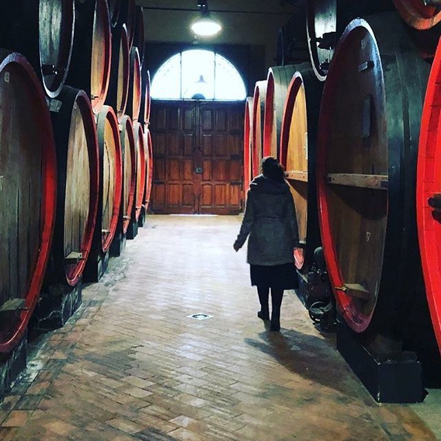 MarilenaLeta's tweet photo. Il mio lavoro: macinare chilometri su chilometri, raccontando storie di #vino ๐ด๐ท๐ #debartoliback #Samperi #bottaia #VecchioSamperi #Marsala #ilovemyjob #winepassionskill #WSET #instawine #instagood #igers #igersmarsala ๐ท @flatironwinessf https://t.co/IhzVOYIVFL https://t.co/FJQSli5m8v