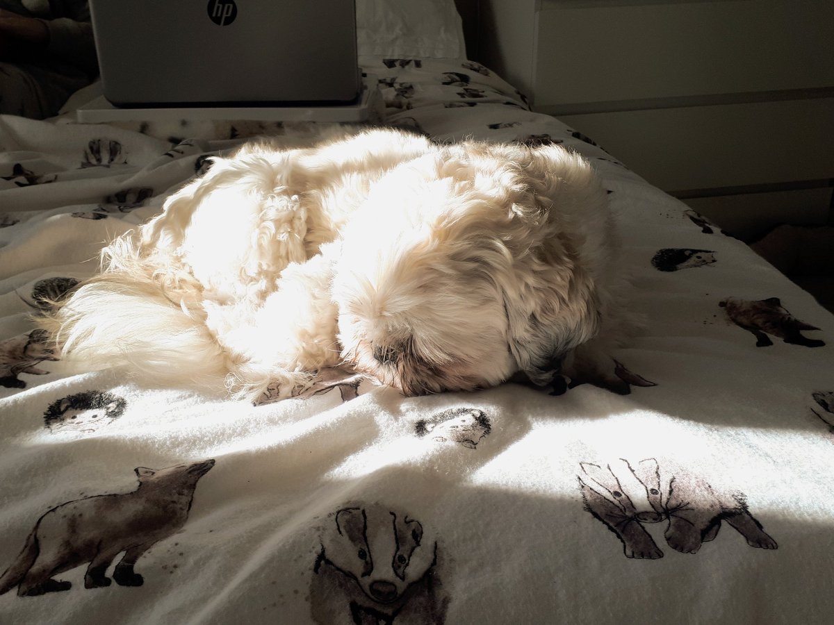 And while he's doing the full Belle & Sebastian back catalogue, here's: Asleep on a Sunbeam.