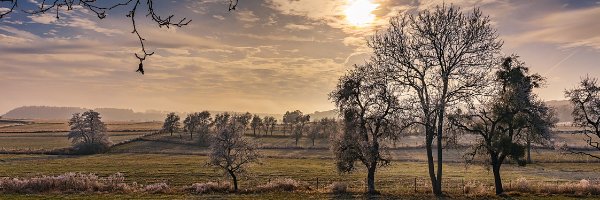 Want to know more about what we get up to at Nourish? Why not subscribe for our newsletter?
Find out more here: buff.ly/2Sc9smZ