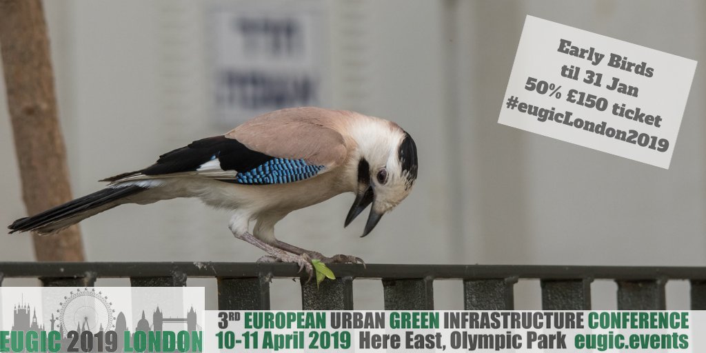 #eugic2019 - be an early bird to join in the conversation - #naturebasedsolutions #urbangreeninfrastructure #cities weaving a #transdisciplinary story to a #nationalparkcity #london #birds #bees #wildlife
 ow.ly/6Boj30nt7mO