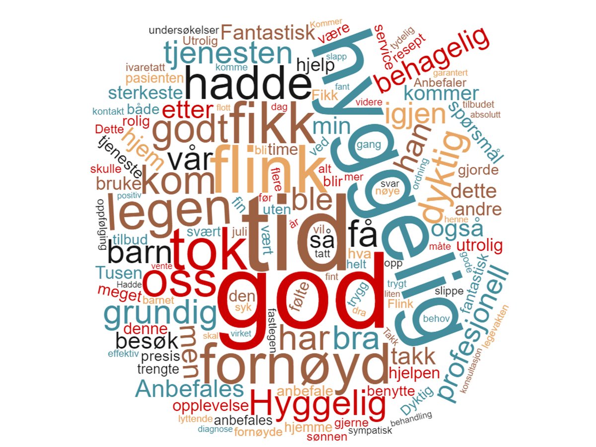 Alle våre pasienter blir oppfordret til å gi legen en skriftlig tilbakemelding. Dette blir nøye gjennomgått hver dag og vi er så stolte av det som blir sagt! Store ord er de mest gjentakende - god tid, flink og hyggelig lege, grundig, fornøyd.
