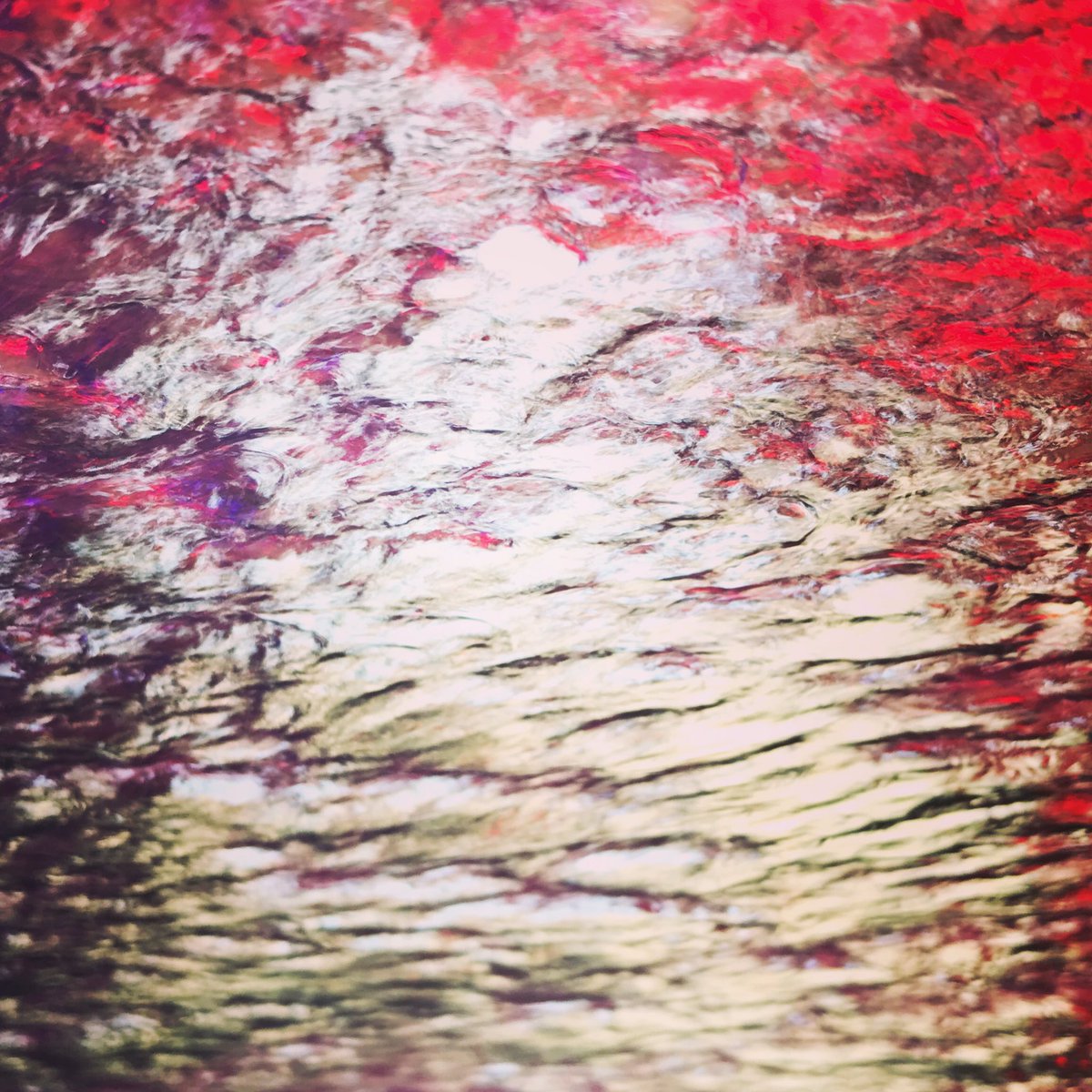 sergiourquidi's tweet photo. Watercolor Series #mycreation #experimenting #capturethemoment #artistic #myabstract #painting #electronicbrush @noticiasyasd @noticiasya48 @noticiasyaps @politicaya https://t.co/zuGwoRNpXE