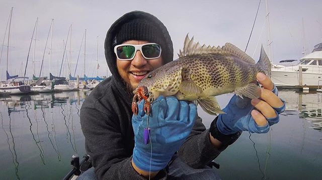 RomanCastro's tweet photo. NEW VID - Catching Spotted Bay Bass on the @vmchooks Tokyo Rig with Dallas @gangstergumbi Woo!!
VID LINK IN BIO: https://t.co/qumGQhA9wP
#spottedbaybass #kayakfishing #tokyorig #fishing #slatbass #sandiego#sandiegobay #fish #salt #socalfishing #fishingsโฆ https://t.co/Zm6QujhKnq https://t.co/FKQ36SGafG