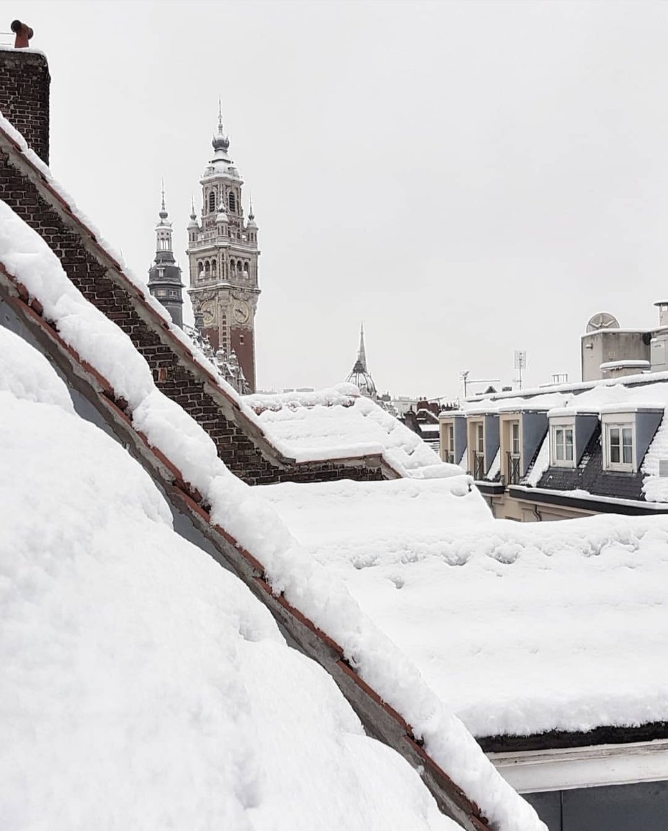 ❄️ #Lille se réveille à nouveau sous la #neige ! 
Toutes les photos sur instagram.com/lillemaville
