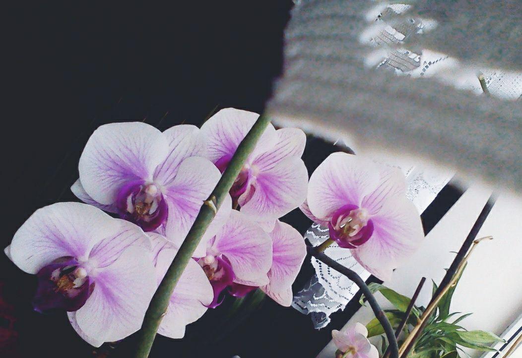 EnthomPhotos's tweet image. BTC ( Bitcoin ) Donation 👉 17fuLzQoGTWtSXLDkbLm1VMPJZMN5RE9yt 👈 🙂  Free download / PMessage to me  🎁 Follow me + Retweet = I Follow Back  🎁  /K30