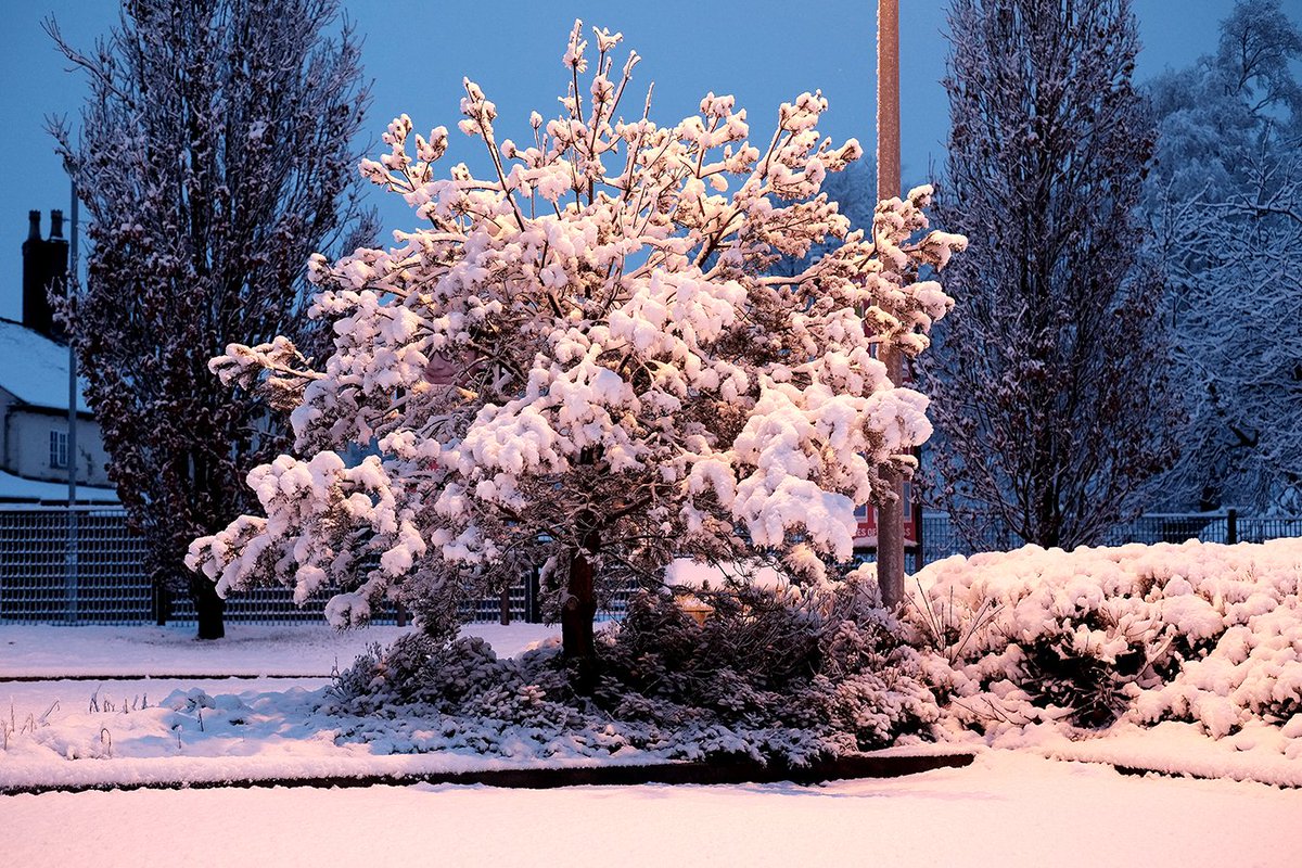 chorltonhigh's tweet photo. Despite the overnight snowfall, 🌨️
Chorlton High School is OPEN today! 🌞

Please take care getting to school, work or wherever you are going today ☃️ https://t.co/0zkdRq5Ecd