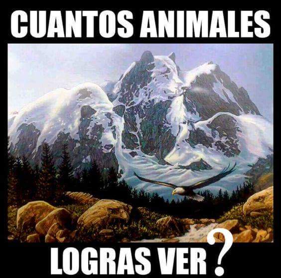 ➡#LaHoraMagica30⬅

1. Da RT a este Tweet
2. ¿Cuántos animales logras ver? 
3. Contesta a la pregunta con #LaHoraMagica30
4. Sigue al que da RT y Like

RT🔛RT