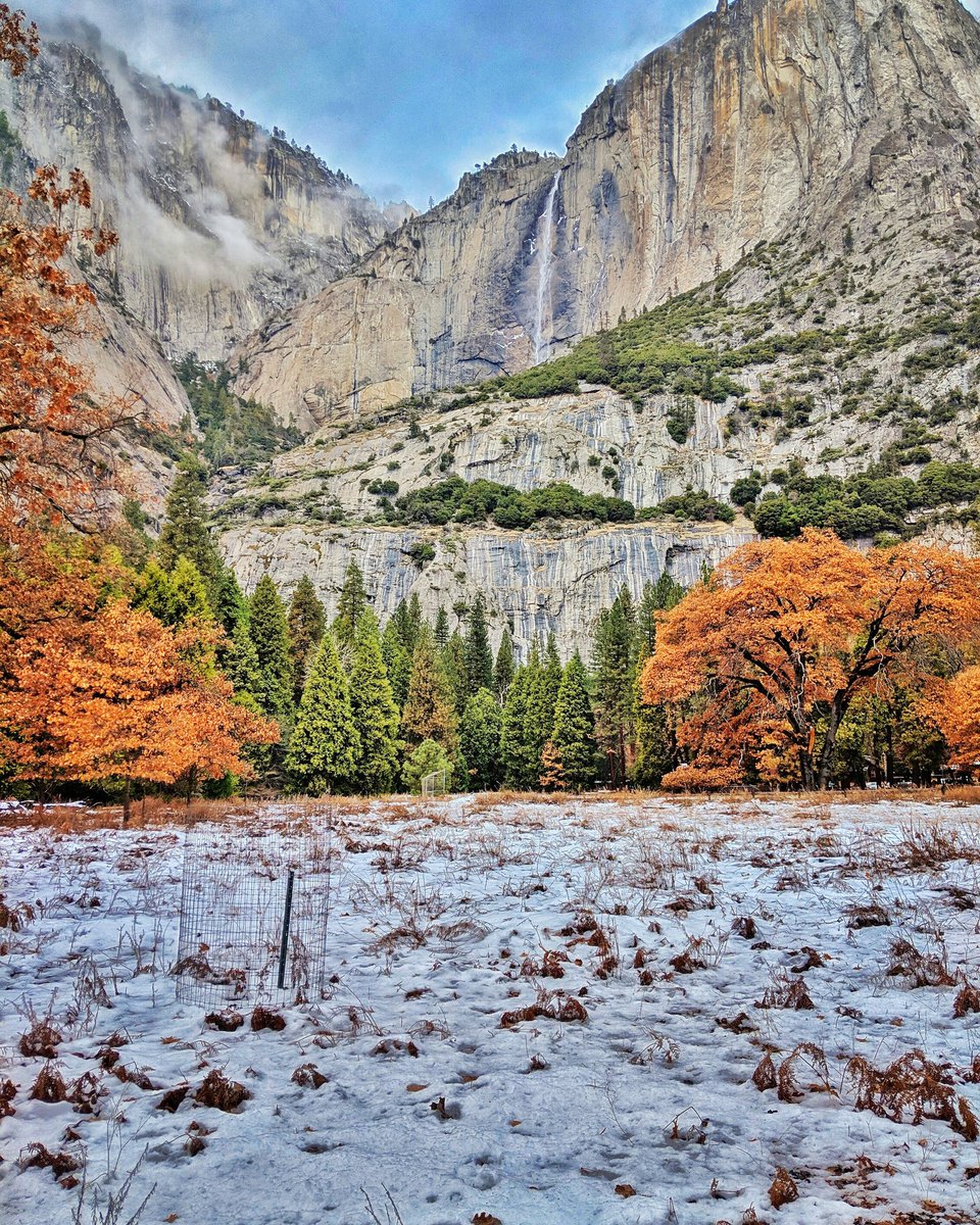 petite_pri's tweet photo. #yosemitenationalpark #mightyyosemite https://t.co/tO9c8tRjXG