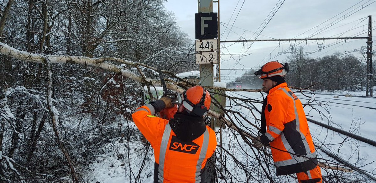 Actu_Transilien's tweet photo. Trafic perturbé en IDF, les équipes SNCF ont été cette nuit et ce matin encore à l’œuvre pour dégager les arbres ou branches tombés sur les voies (poids de la neige). Ici reseau Montparnasse. https://t.co/MiQNt3PU6b
