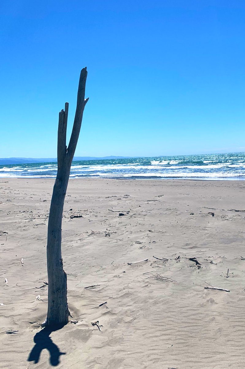 baywhitecloud's tweet photo. #sky #sea #whereheartsreturn #oceaniscalling https://t.co/xWJgCbIdbc