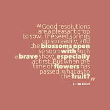 Quton Seed Company tweet media