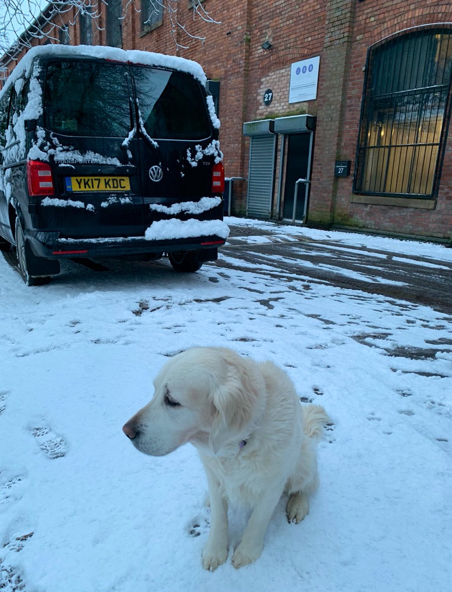MuttsButts's tweet image. A most disgruntled Boo this morning as we made it to the office ! Precariously ! But we made it ! 😅 No snow day for us 😢❄️ Lots of trusty orders to get out to you all !!! 🐾🐾💩