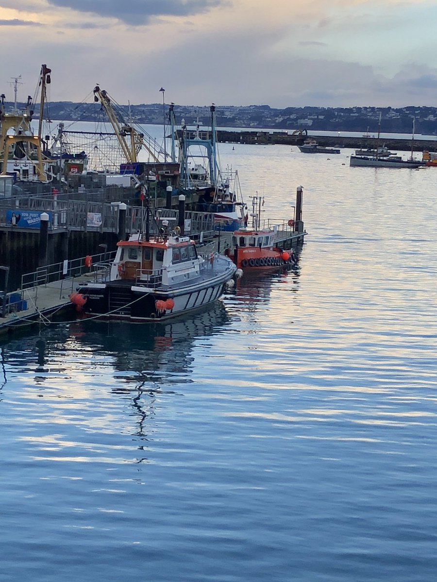 Donna Farr tweet media