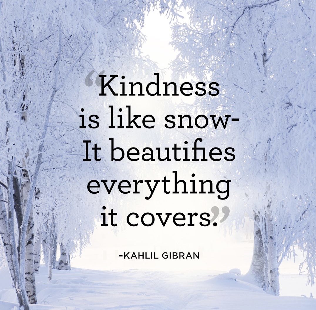 islandofirl's tweet photo. Today’s business quote is https://t.co/IyD3tg9RlW