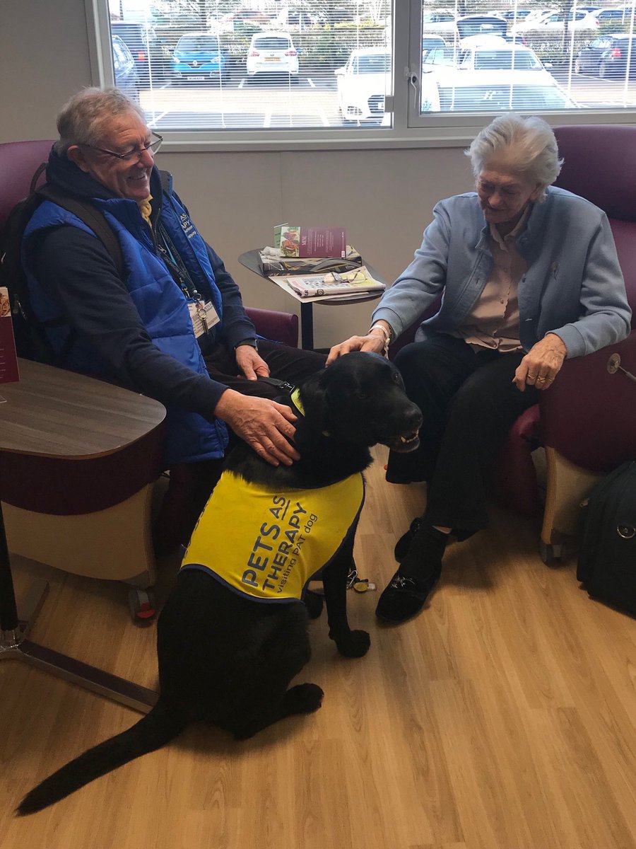 Welcome to PAT dog ‘Bacchus’ with his owner Michael to the Discharge Suite. Bringing some welcome cuddles and smiles to patients and staff 😊🐶 Bacchus certainly enjoys his job! ⁦@nnuhvolunteers⁩ ⁦@NNUH⁩ #dischargesuite #patientexperience #PATdogs #lovealabrador