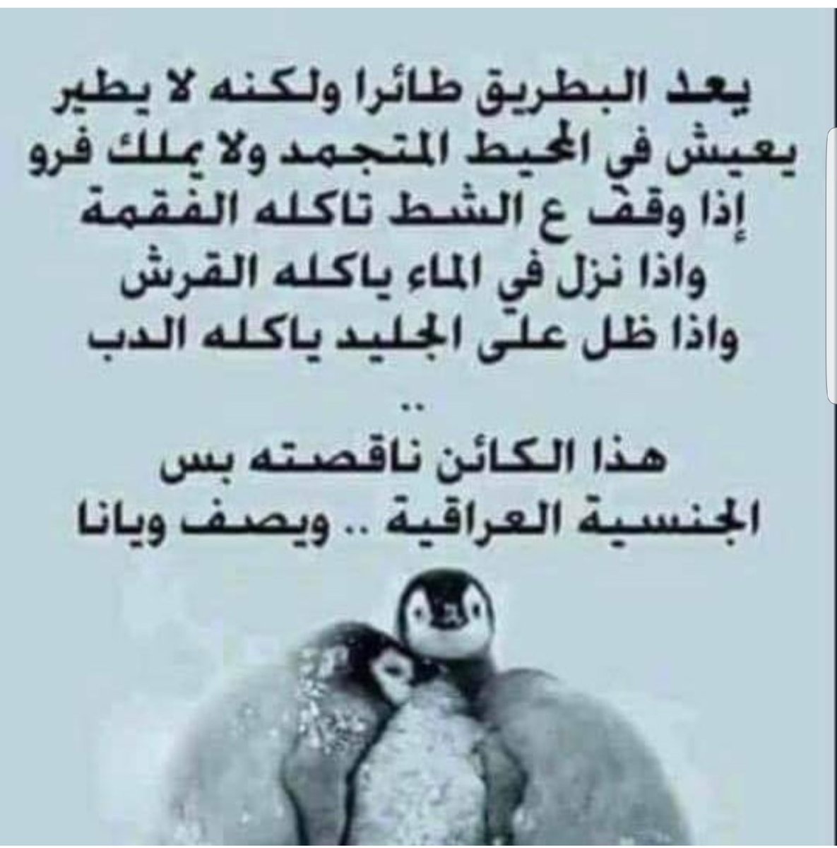 سحر (@8xdhtwdnjjl5jak) on Twitter photo 