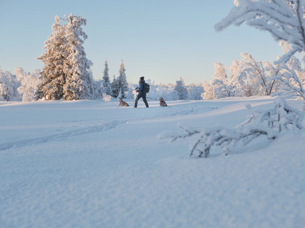 Att sätta mål för det nya året explorealittlemore.se/att-satta-mal-…