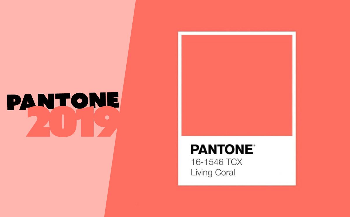 SiksADV's tweet photo. Eccolo tra noi: Living Coral è il nuovo colore Pantone 2019. Vibrante, positivo, sembra un rosa ma non è. Ed è pronto a rivoluzionare le tendenze con una spiccata vivacità. Ve lo presentiamo nel nostro nuovo blog post!
https://t.co/cil8tOHKuR https://t.co/SVP6gFAORy