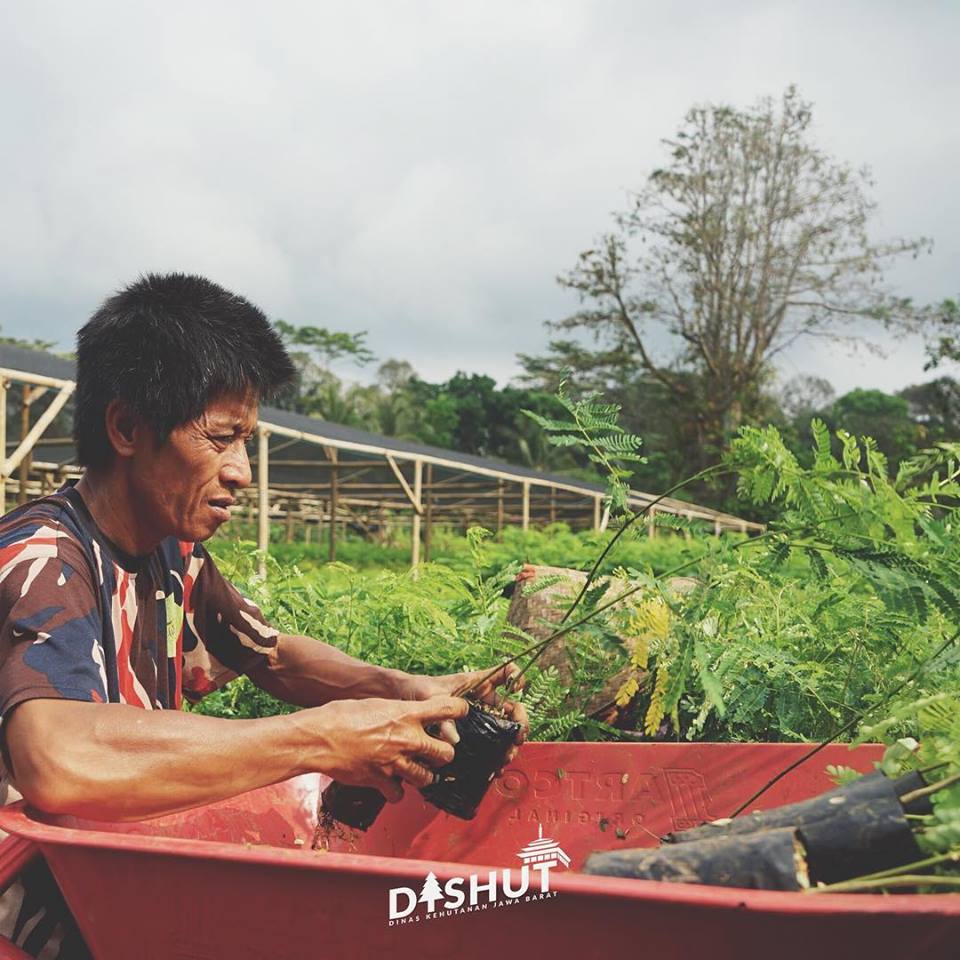 Dinas Kehutanan Provinsi Jawa Barat On Twitter Kegiatan