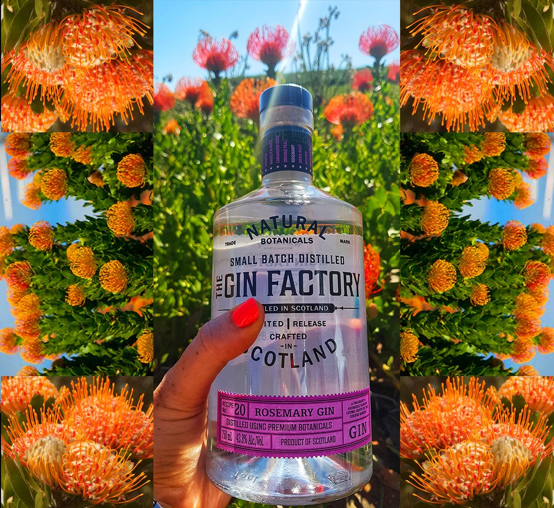 Very few words needed - just stunning!
#gin #scottish #cocktail #ginandtonic #beautiful #CapeTown #TGF
