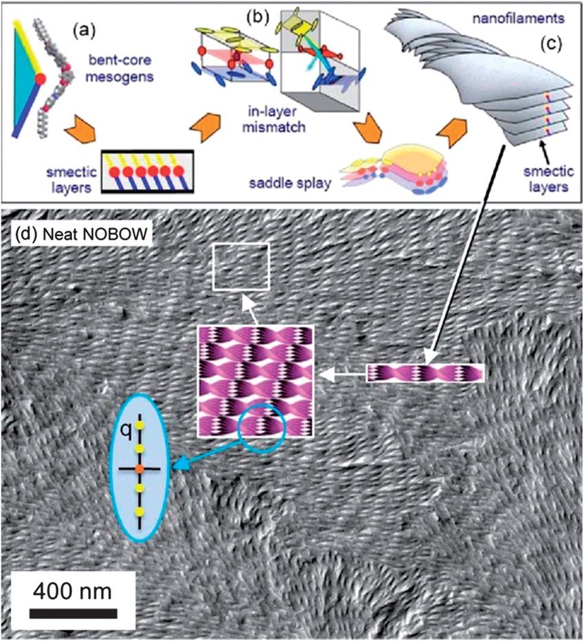 nanotechcong's tweet photo. Nanoconfinement of guest materials by helical nanofilament networks of bent-core mesogens.
#nanoconfinement #helicalnanofilaments #nanosciencecongress #nanotechsummit19
For details: https://t.co/qAZnxmq7OW https://t.co/YosSfLFuwh