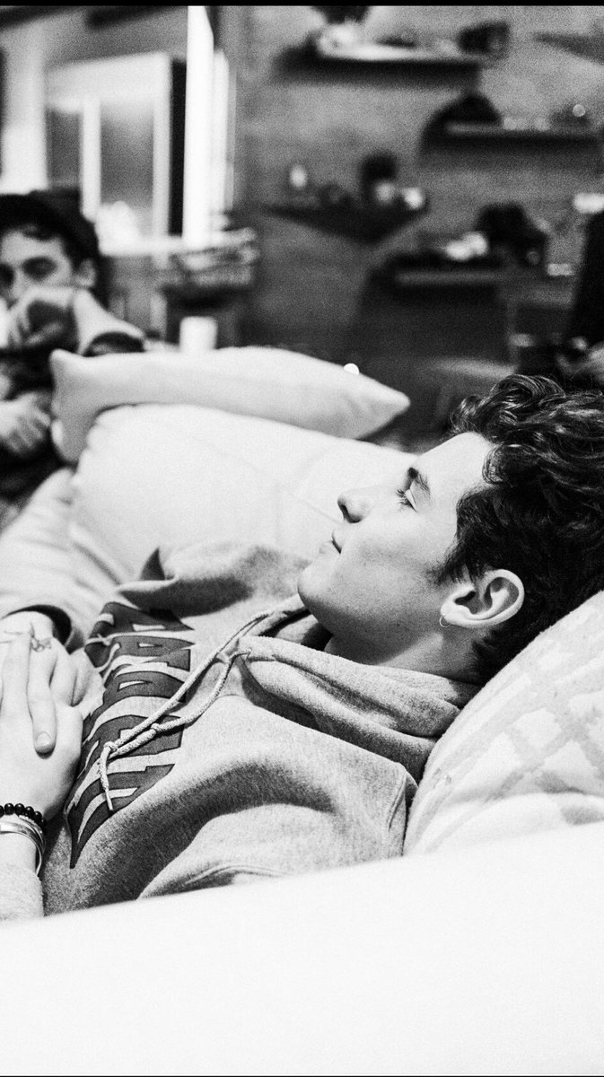 Shawn Mendes tweet media