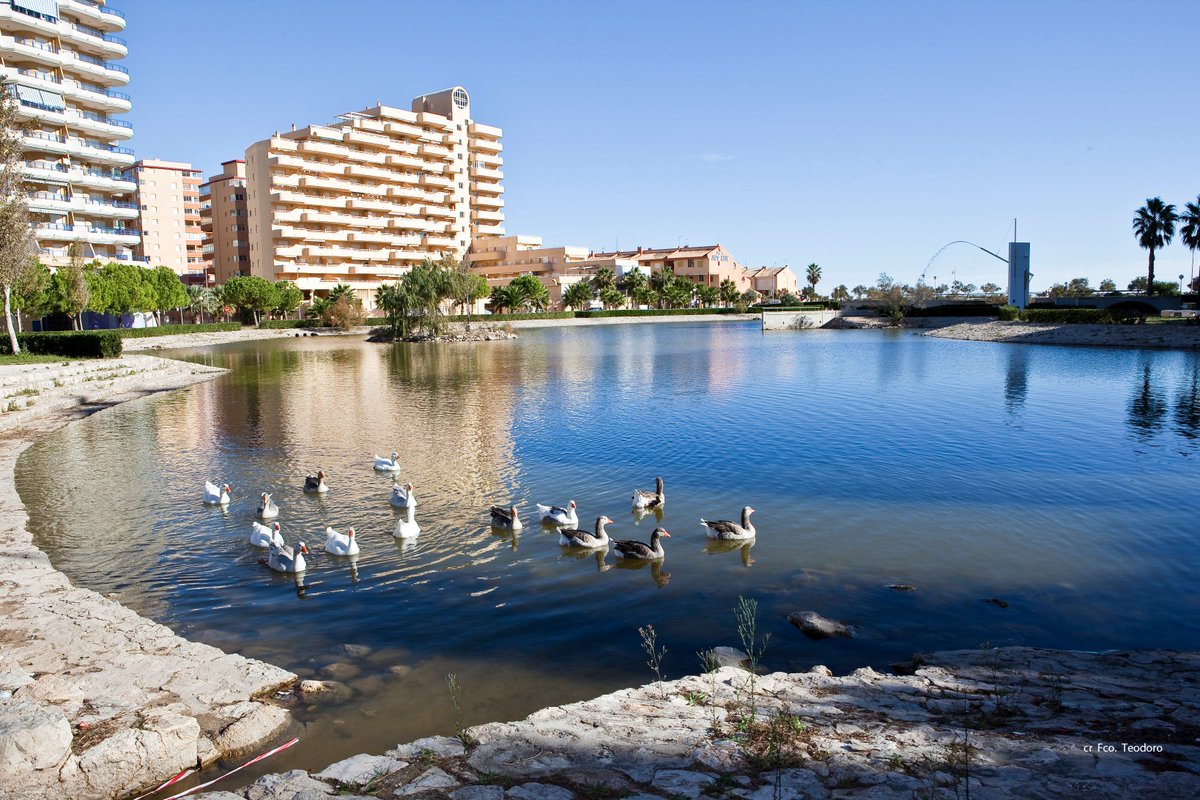 L'hivern també ens porta dies espectaculars com aquest! 😍 #platja #sol #mediterrani #tavernes