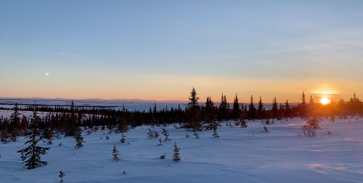 rapid_ent's tweet photo. Noatak is somewhere over there👀 https://t.co/0rabY2ps0E