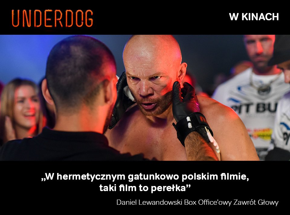 UnderdogFilm tweet media