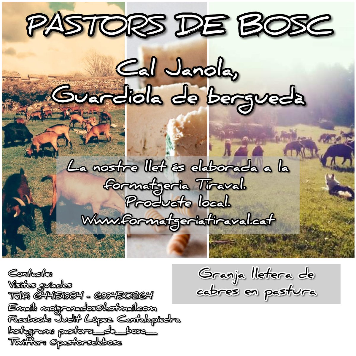 pastorsdebosc's tweet photo. Pastors de Bosc, #CalJanola #GuardiolaDeBerguedà https://t.co/UxEBgVtXJT