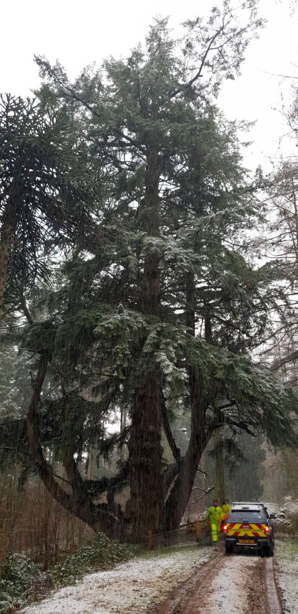teigntrees's tweet photo. It's been a day of contrasting #weather today....Check out these shots sent in by our #treecrews today in snowy #EggesfordForest & finding the perfect lunch spot in sunny #Salcombe. #teigntrees #arborists #arblife #perksofthejob #sunnywinterday #snow #whatwedowednesday https://t.co/c2FfeVwBB2