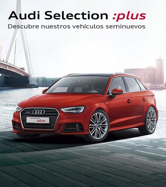 Audi Selection :plus - Sealco tweet media