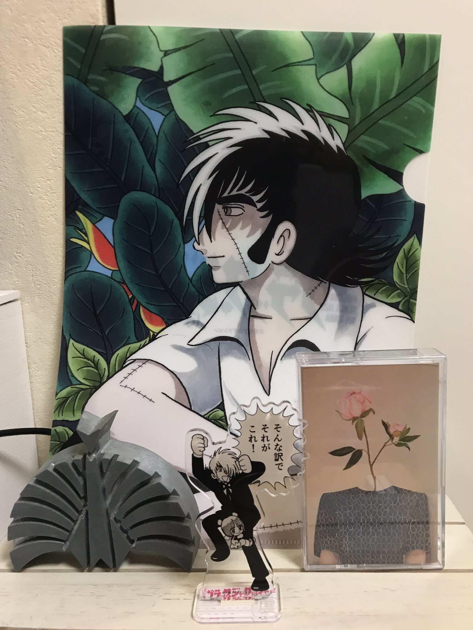 Naho V Tvittere 届いたー 嬉しいー ブラックジャックイケメンすぎるー こんなブラック ジャックはイヤだ ドッキリブラジャー